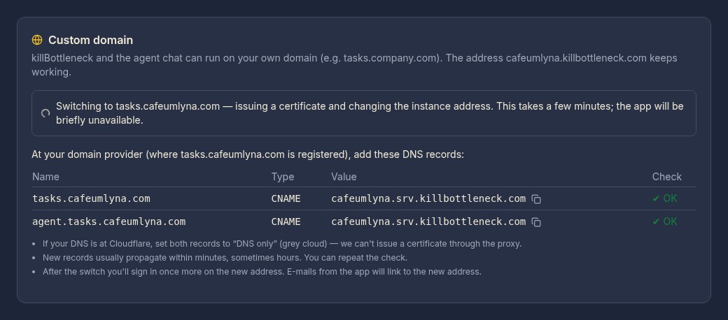 After the check: both records show a green “OK” and the message Switching to tasks.cafeumlyna.com — issuing the certificate and changing the instance address