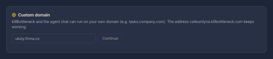 The Custom domain section in Organisation admin: an address field and a Continue button