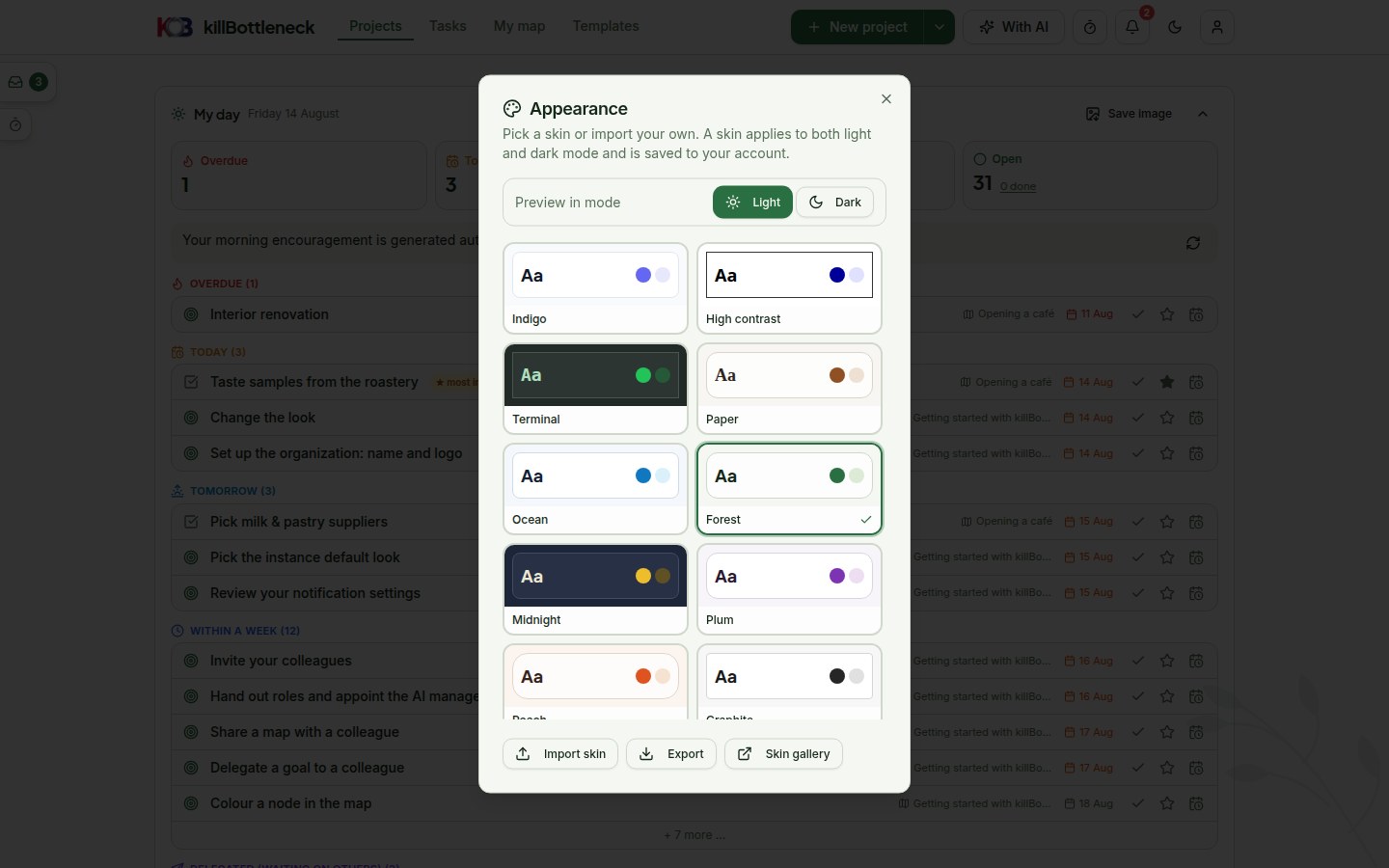 The Appearance dialog: a grid of skin previews with Import, Export and Skin gallery buttons at the bottom
